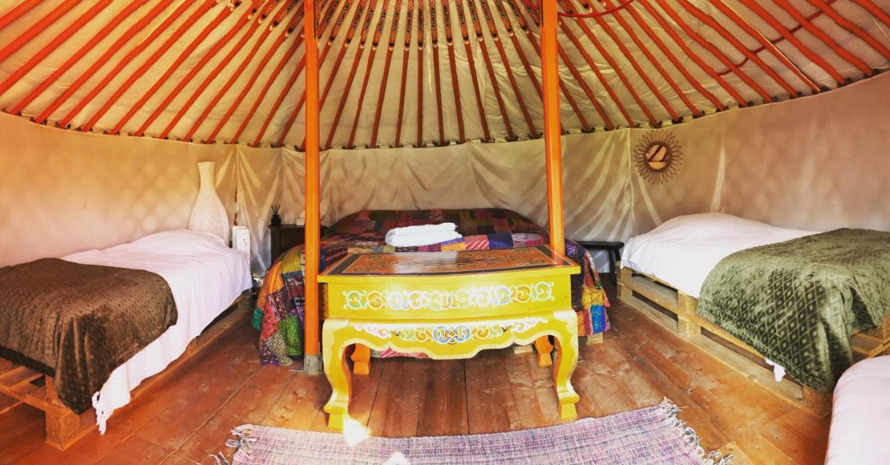 Bed and Breakfast Les Colombines Hombleux Экстерьер фото